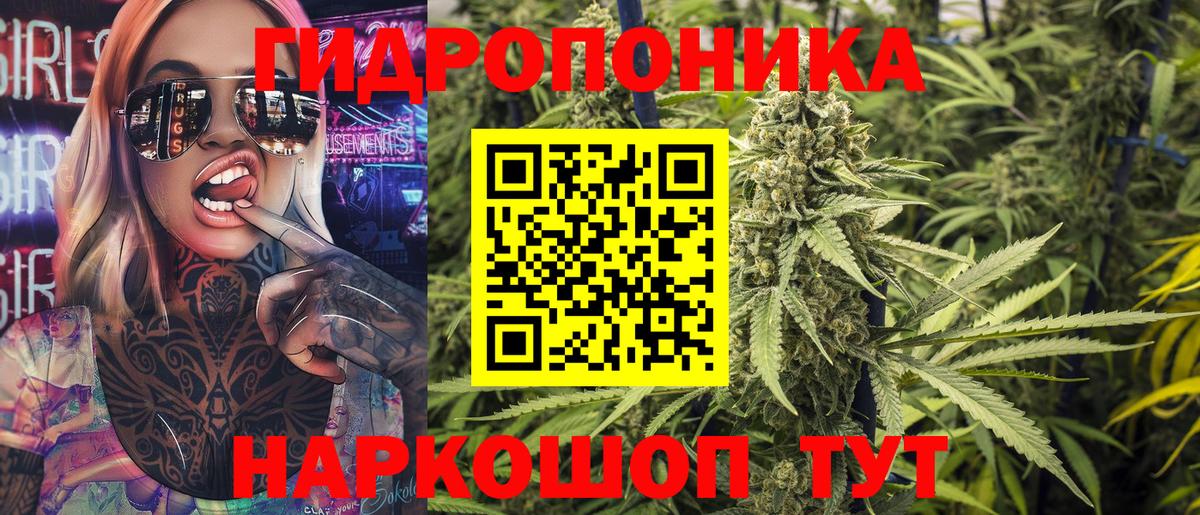 Бошки Шишки гибрид Краснодар